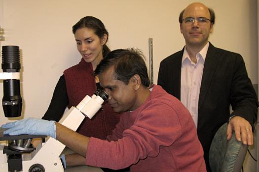 Natalie Schennum, Abhijit Dandapat, Michael Kyba PhD