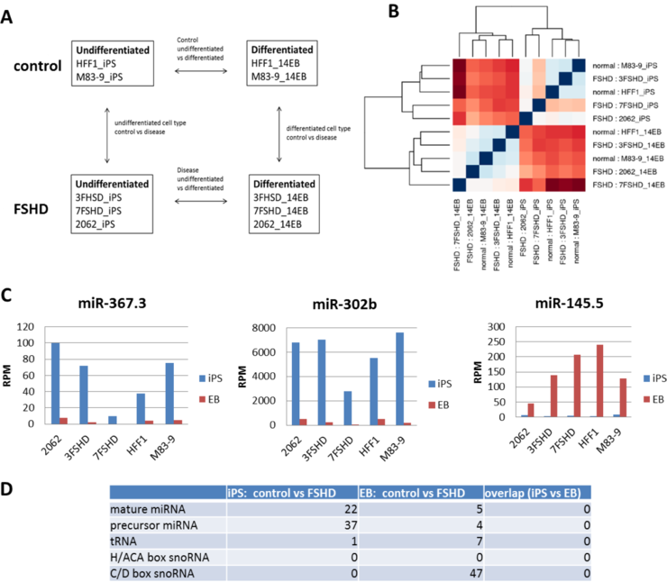 Small RNA seq-Figure 6