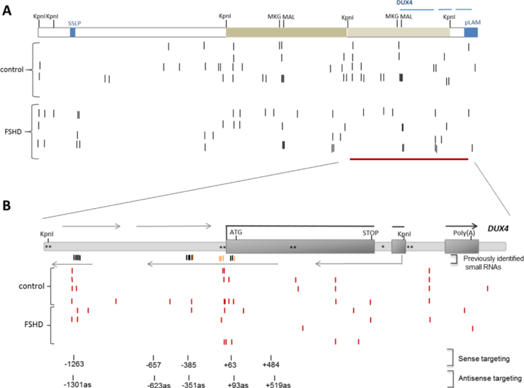 Small RNA seq-Figure 2