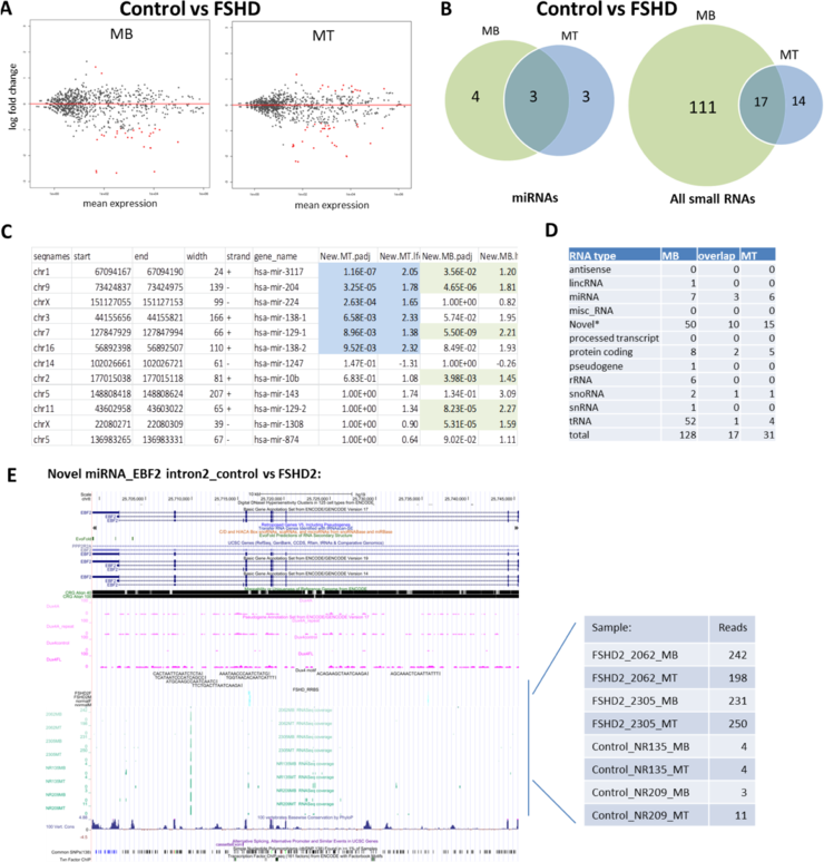 Small RNA seq-Figure 4