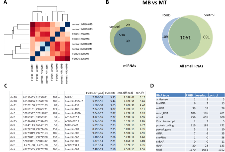 Small RNA seq-Figure 3