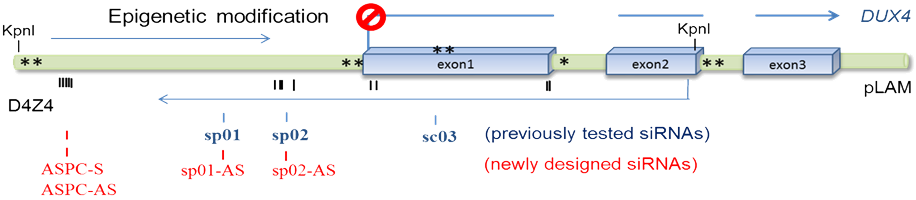 Figure 2-A